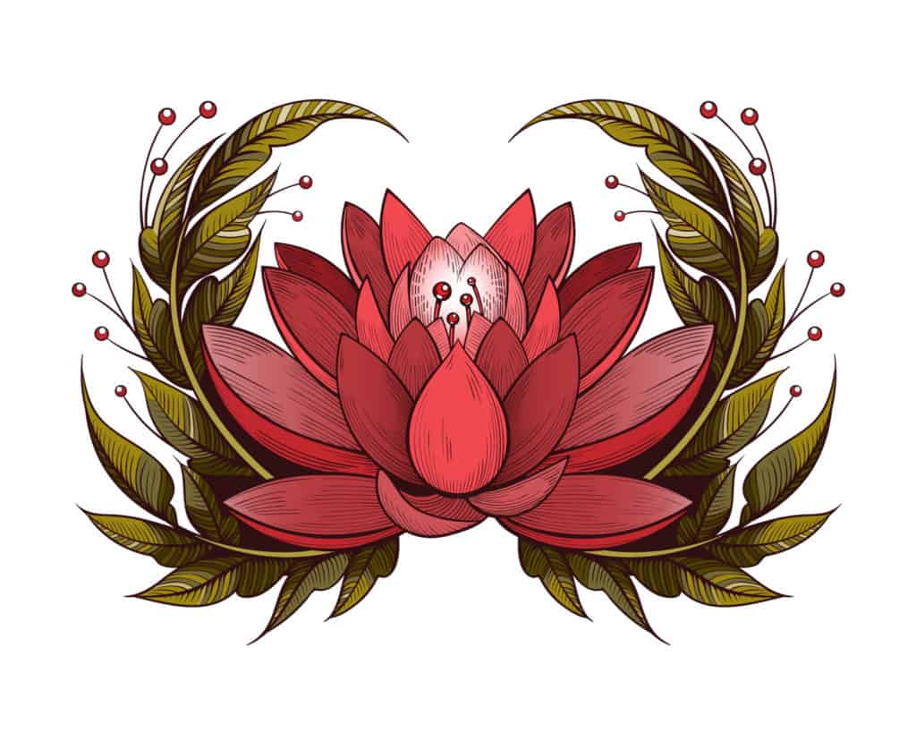 Red Lotus Flower Meaning And Symbolism Explained, An Illustration Depicting a Red Lotus