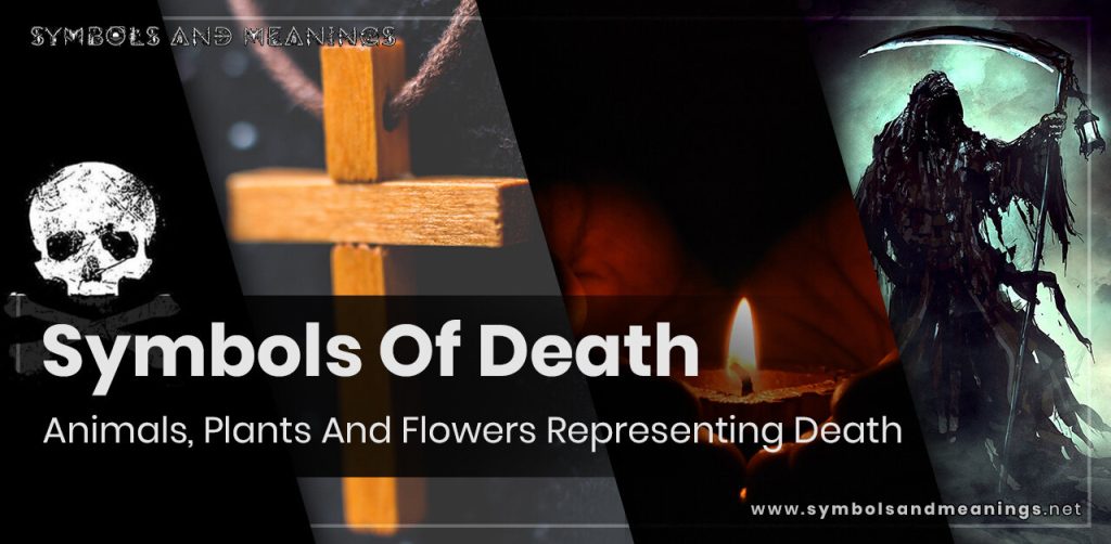 Symbols Of Death - Animals, Plants And Flowers Representing Death