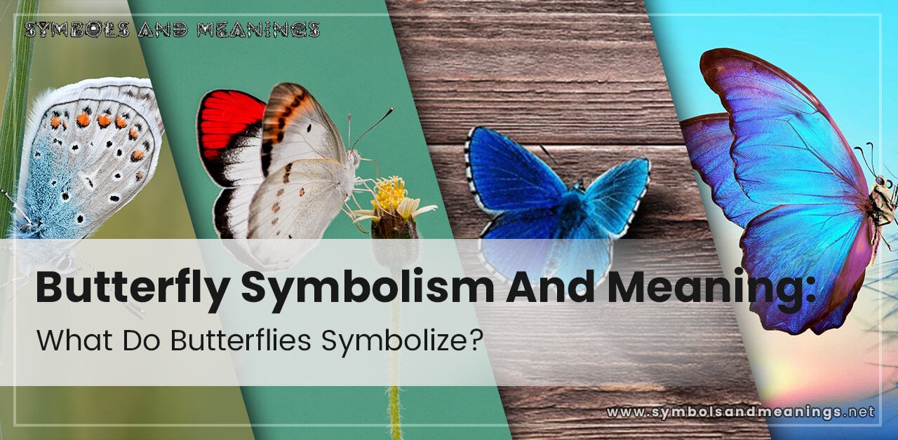 Butterfly Symbolism And Meaning What Do Butterflies Symbolize? (2023)